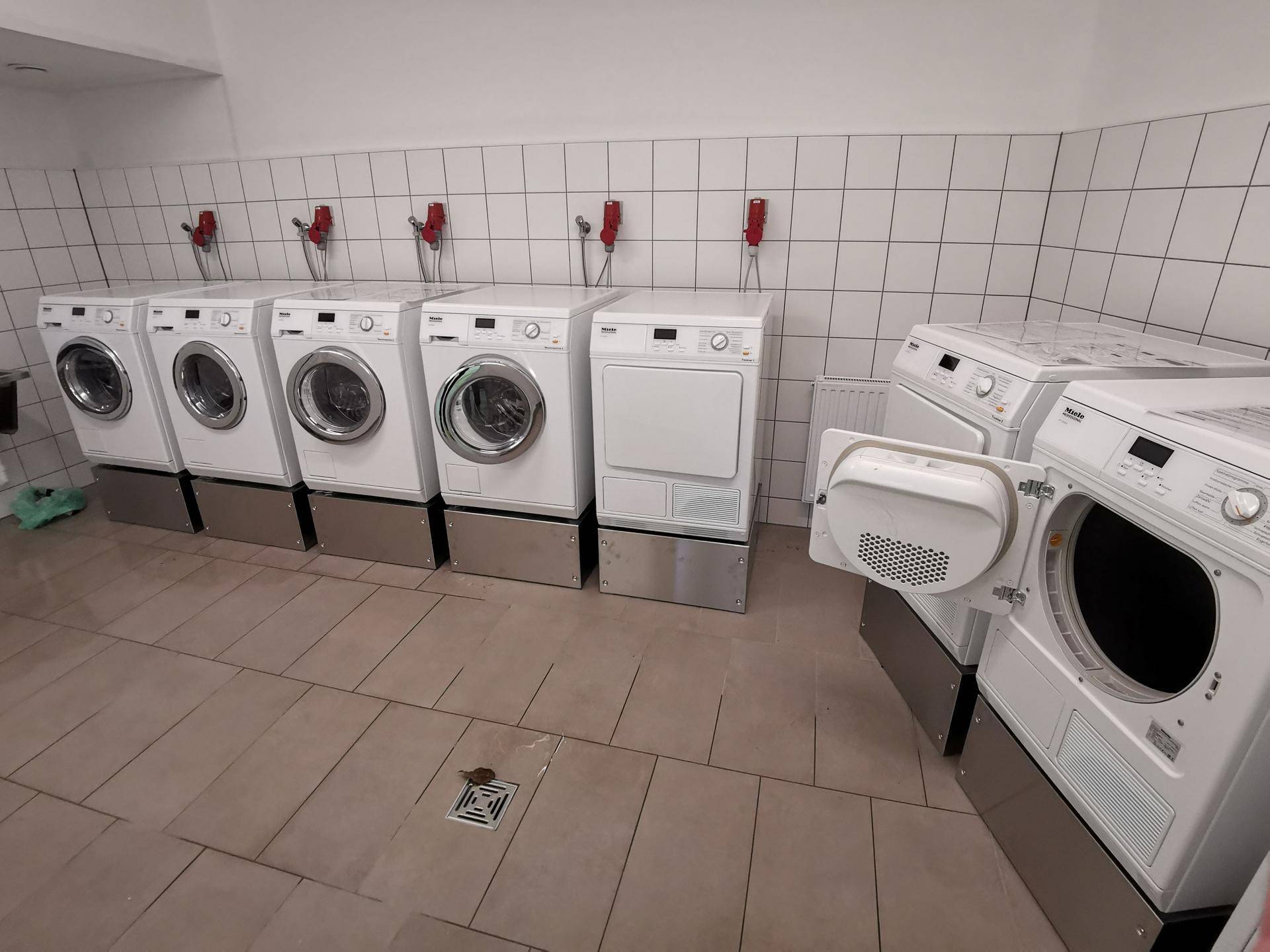 Gemeinschaftlicher Waschraum mit mehreren Waschmaschinen und Trocknern der Marke Miele.