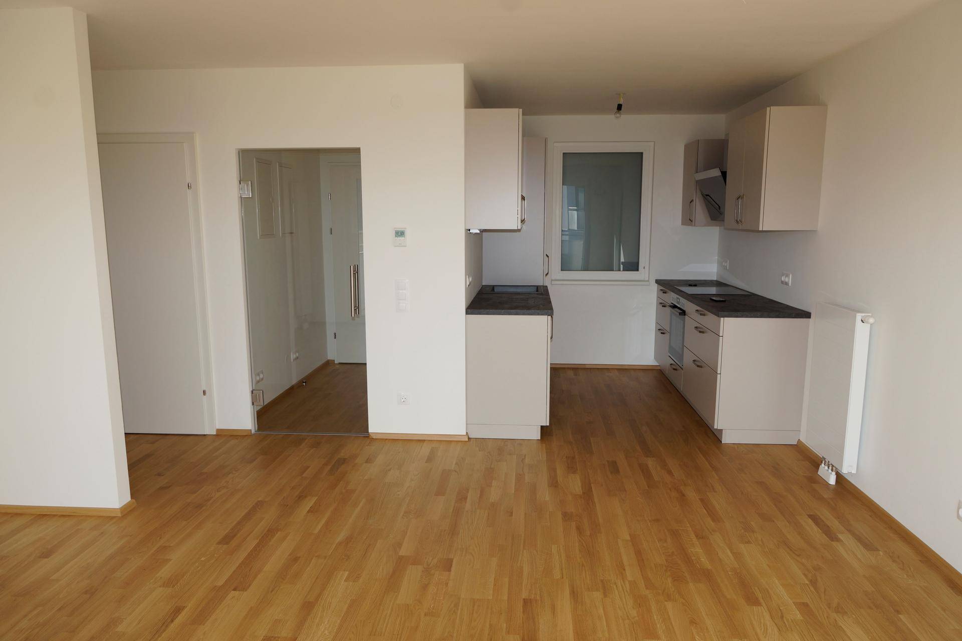 Offener Wohnbereich mit Holzboden und integrierter Küchenzeile, bietet vielseitige Gestaltungsmöglichkeiten.