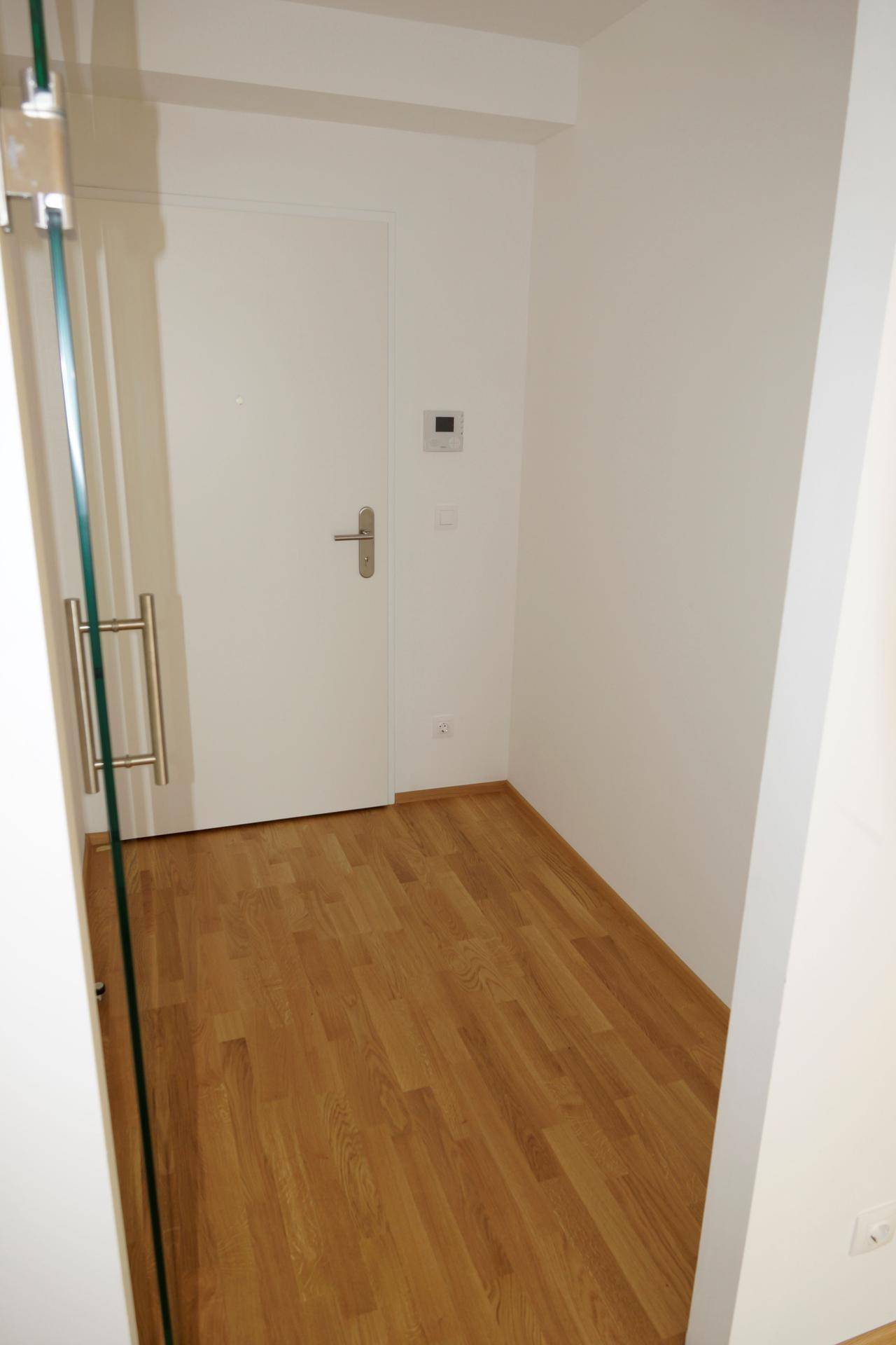 Kleiner Eingangsbereich mit Holzboden und weißer Tür, der einen hellen und einladenden Empfang bietet.