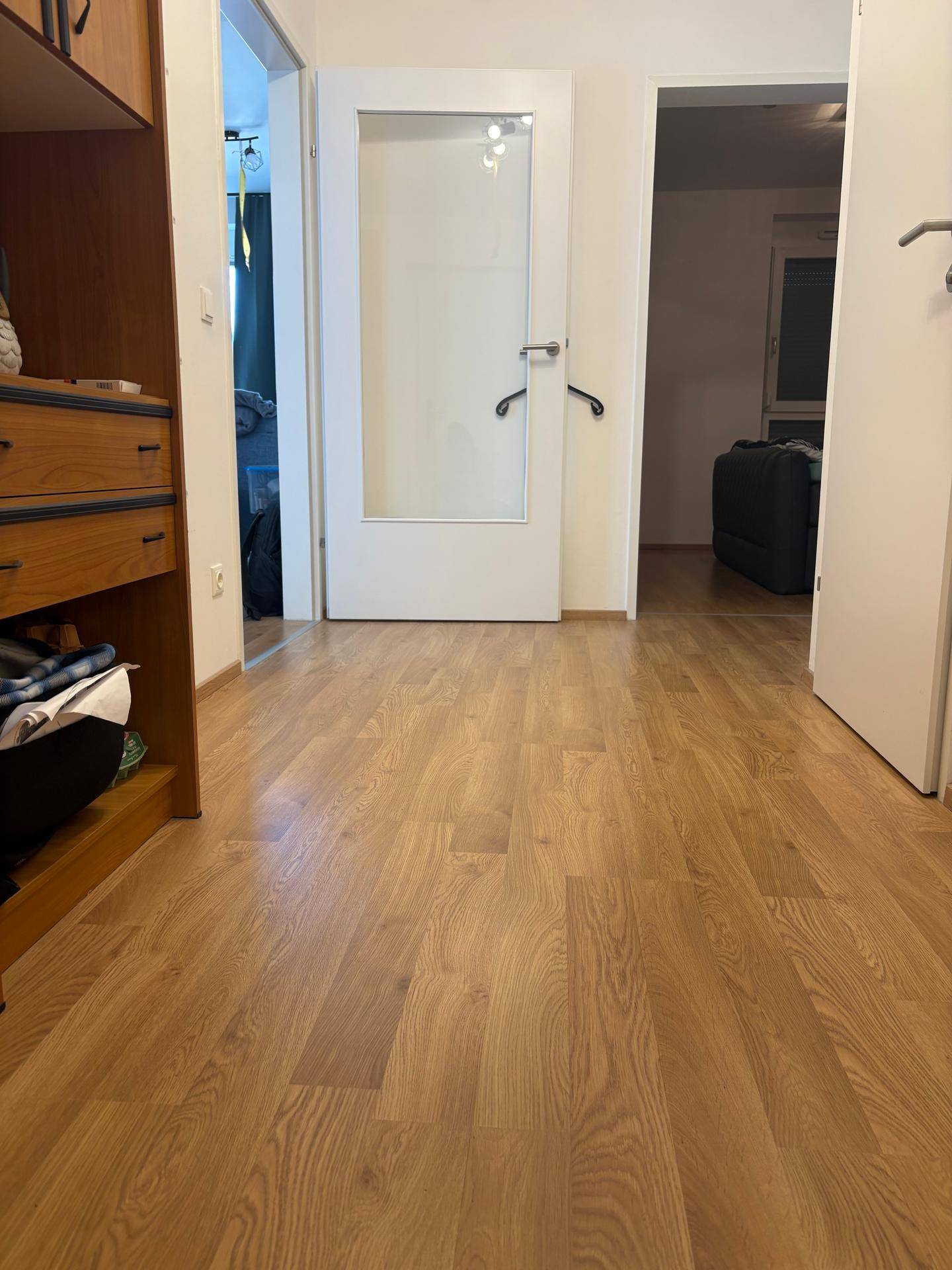 Flur mit Laminatboden und einer Tür mit Glaseinsatz, die zu weiteren Räumen führt.