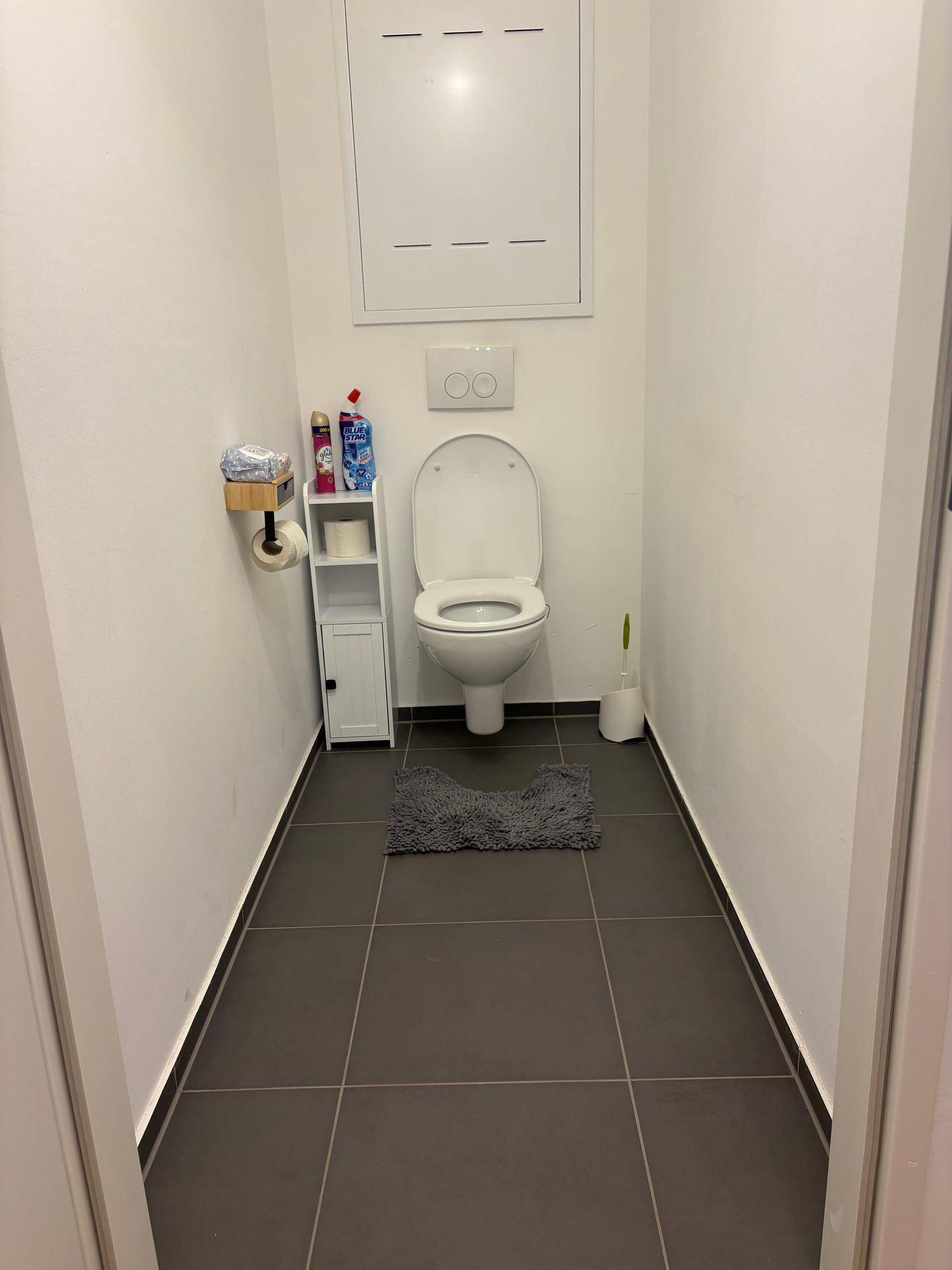 Separates WC mit Wand-WC und dunklen Bodenfliesen, ideal als Gästetoilette.