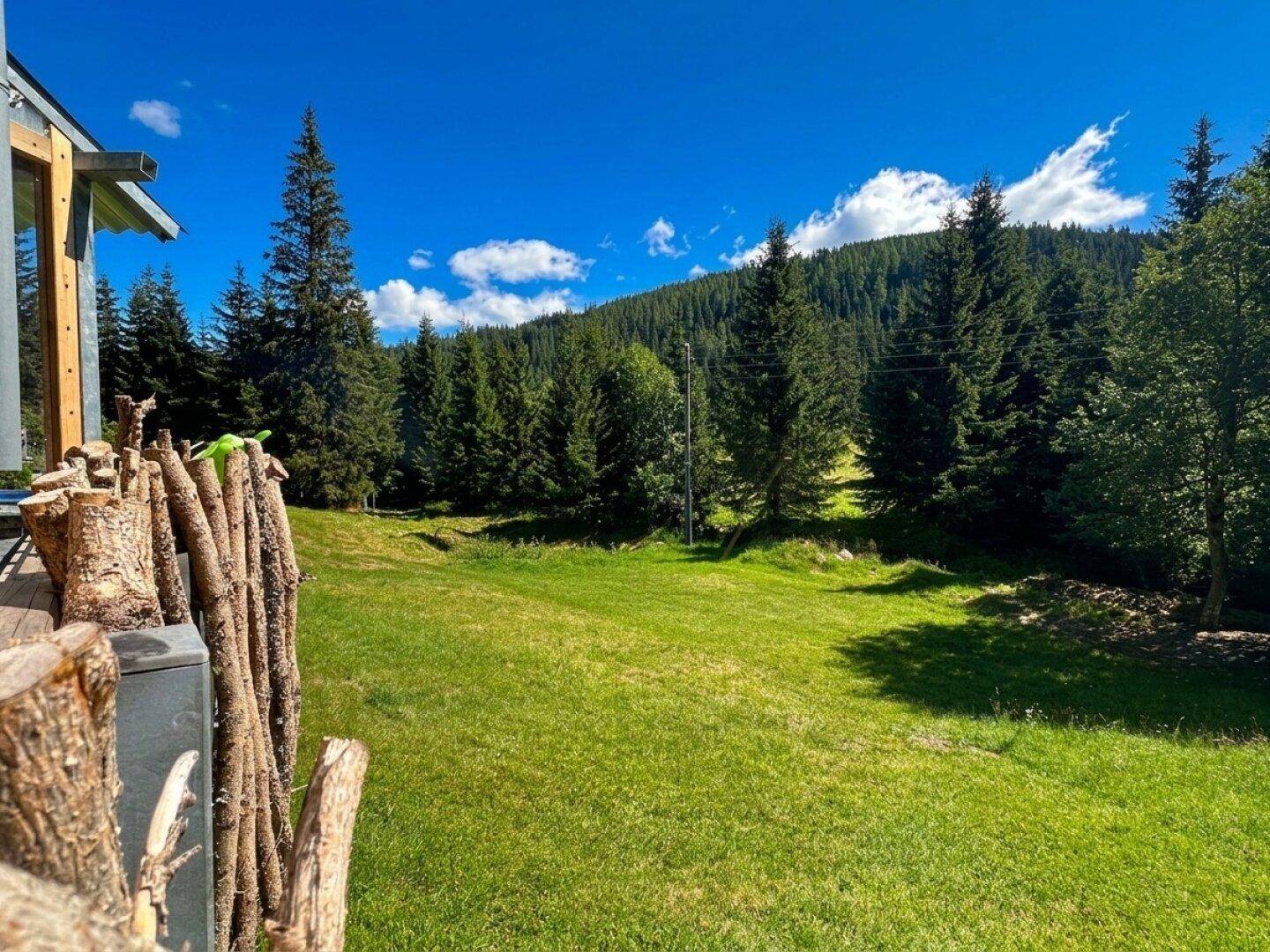 Malerische Aussicht auf eine grüne Wiese, umgeben von dichten Nadelwäldern und Bergen.
