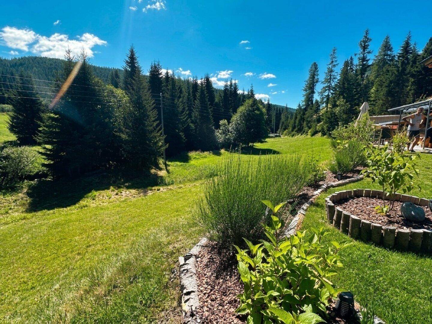Gepflegtes Gartenbeet mit Sträuchern und weitem Blick über eine grüne Wiese zum Wald.