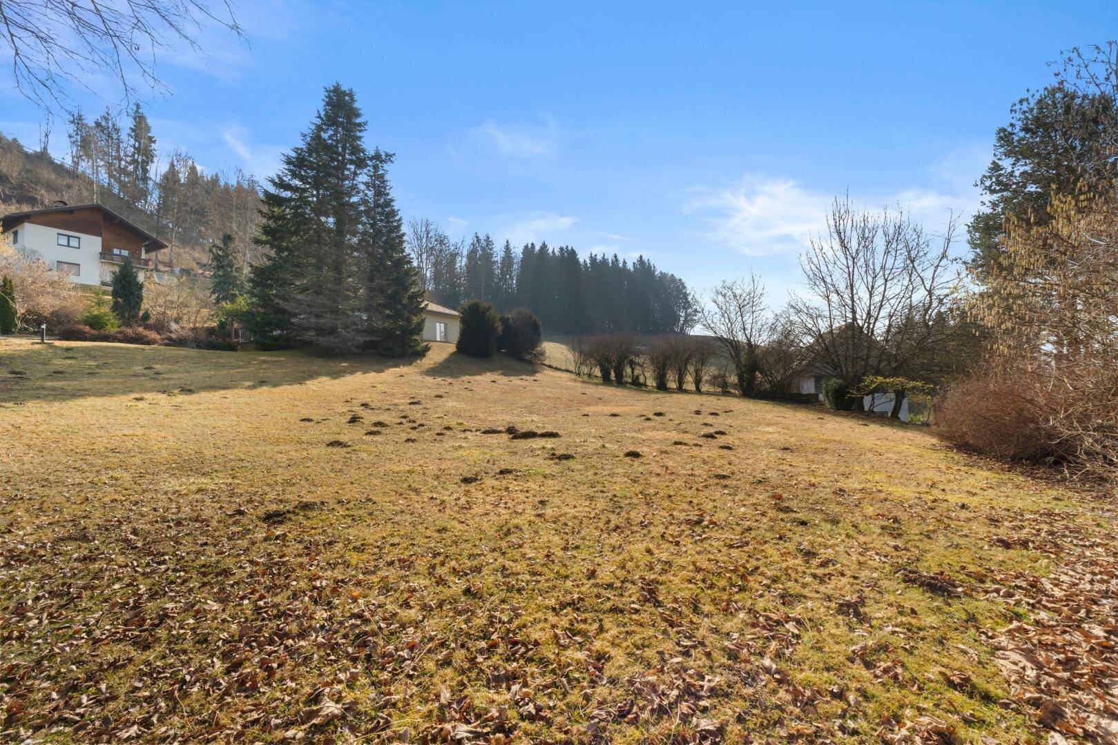 Großer Gartenbereich mit Rasenfläche und Blick auf die umliegende Natur.