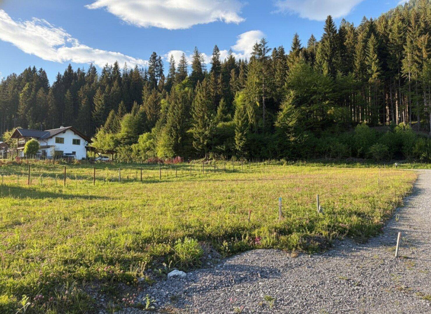 Weite grüne Wiese mit einem Haus am Waldrand und bewaldeten Bergen im Hintergrund unter blauem Himmel.