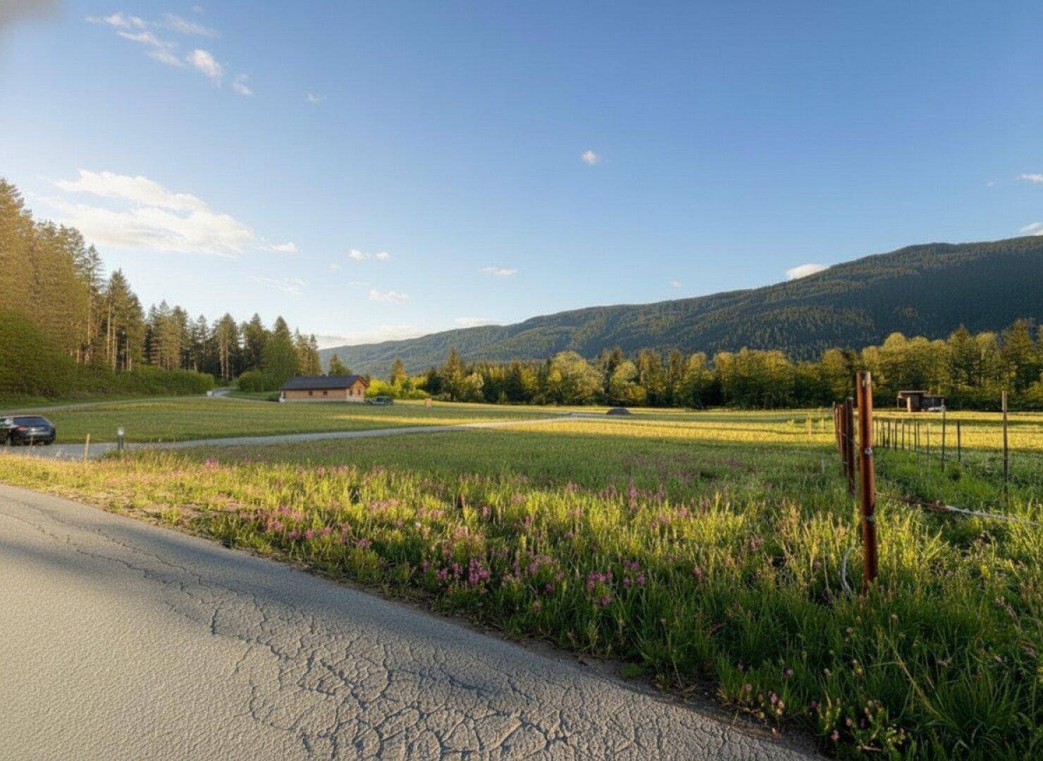 Eine Straße führt durch ein grünes Tal mit Bergen und Wäldern in der Ferne bei tiefstehender Sonne.