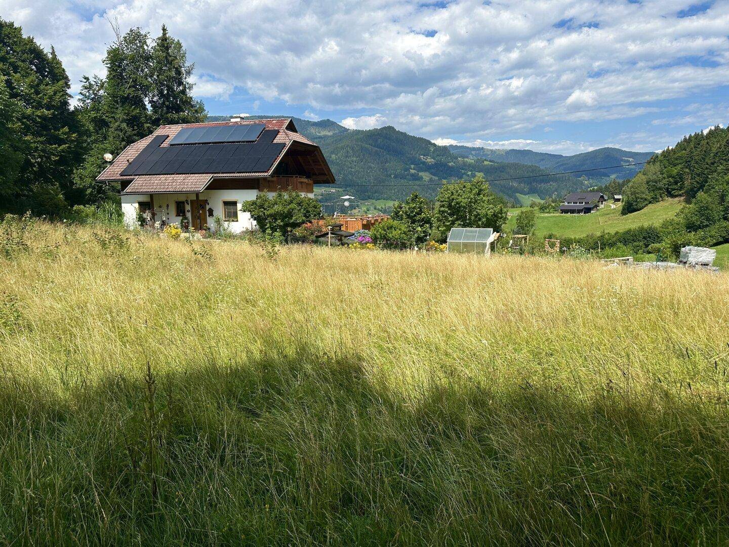 Blickrichtung Osten