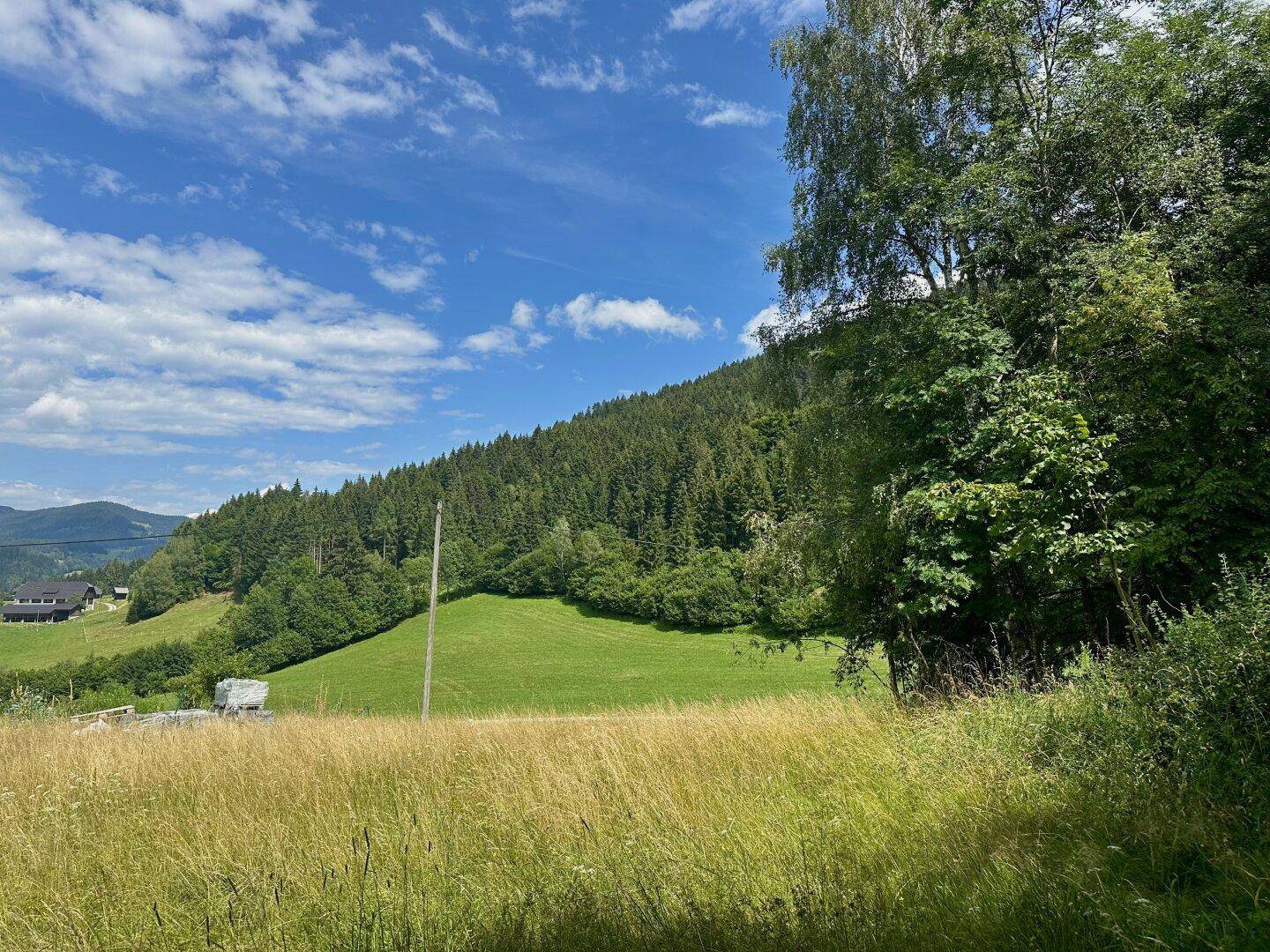 Blickrichtung Süd-Ost