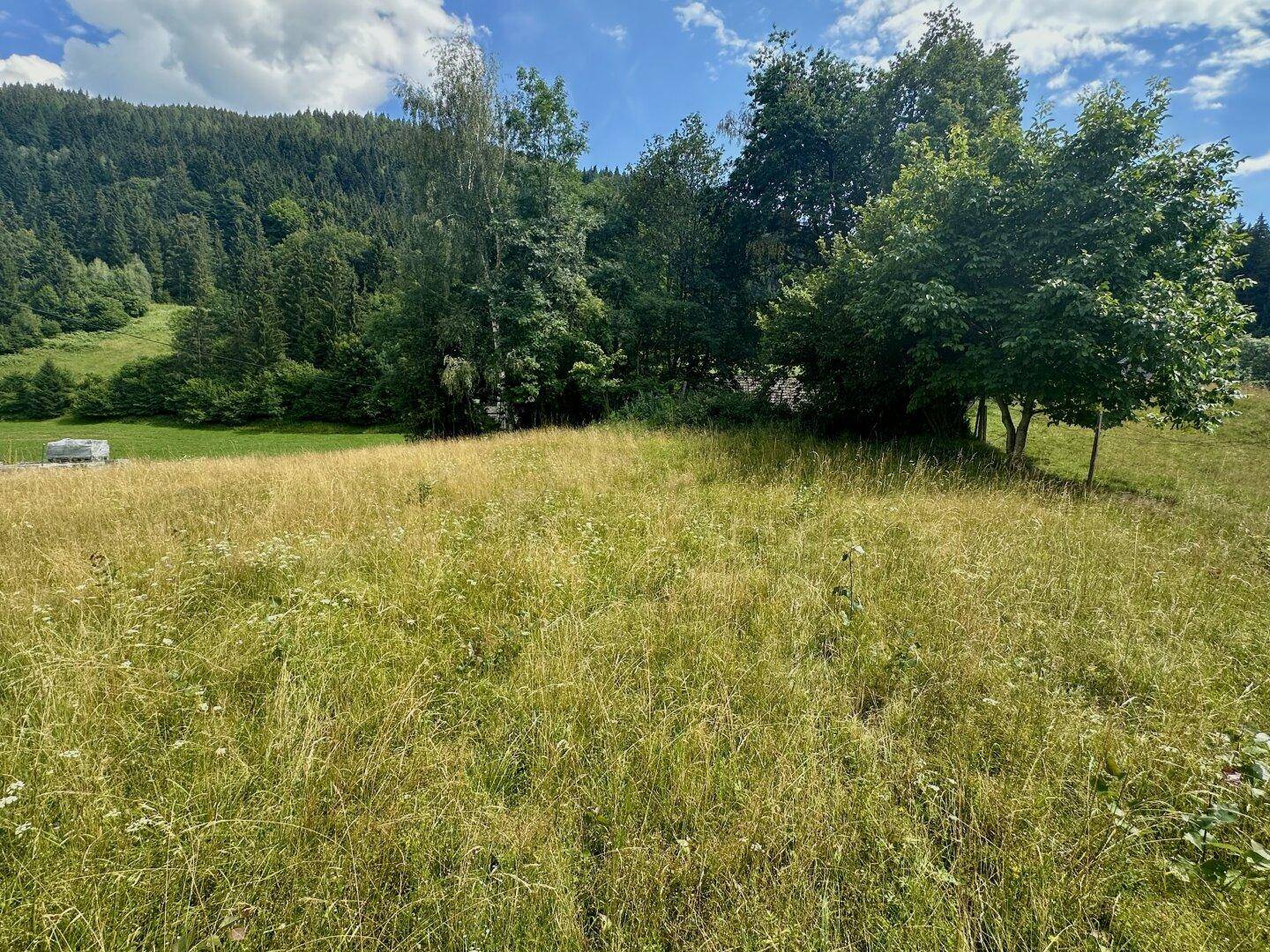 Blickrichtung Süden