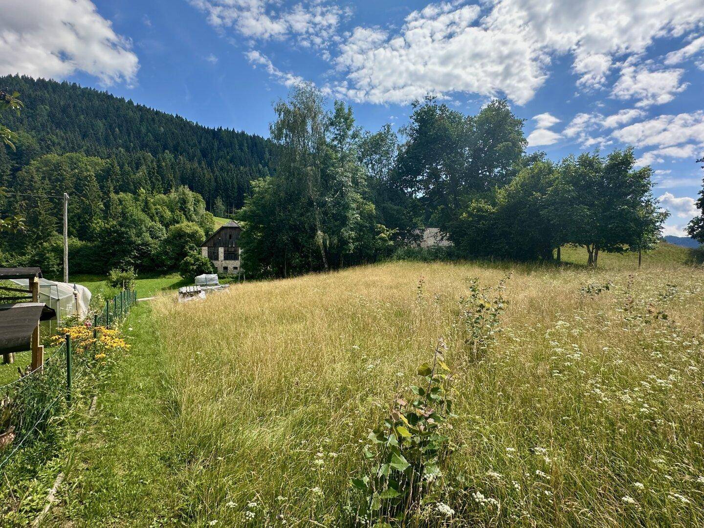 Blickrichtung Süden