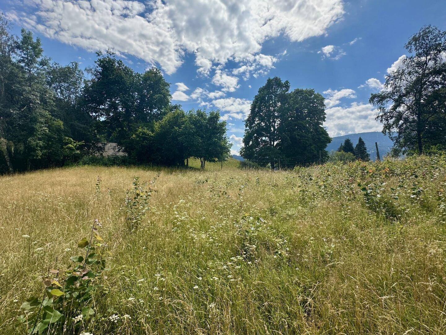 Blickrichtung Westen