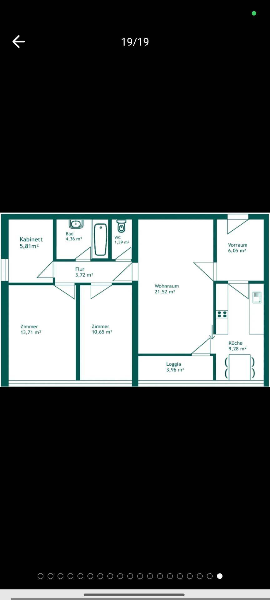 Grundriss der Wohnung mit mehreren Zimmern, Loggia und detaillierten Flächenangaben.