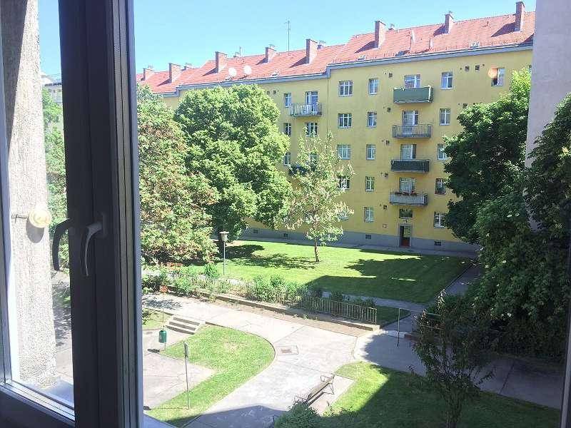 Blick aus dem Fenster auf einen sonnigen, grünen Innenhof mit Bäumen und einem weiteren Gebäude.