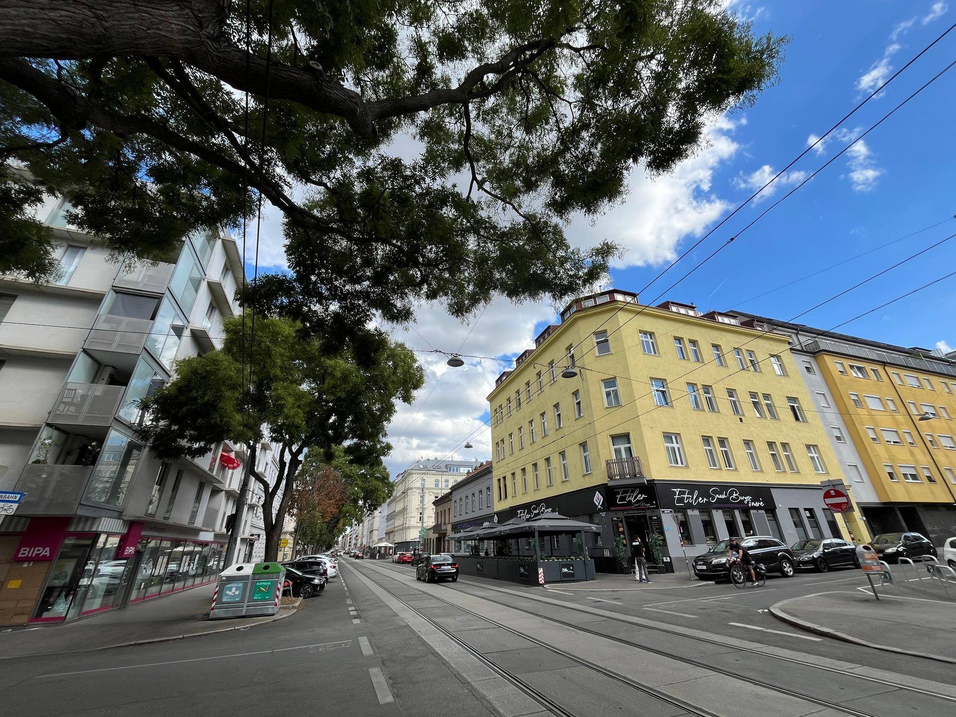 Stadtansicht mit Gebäuden, Bäumen und einer Straßenbahnlinie unter blauem Himmel.