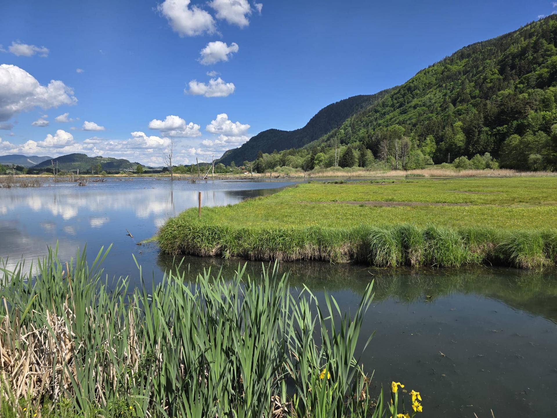 Idyllische Naturlandschaft mit einem ruhigen See, Schilf und majestätischen Bergen unter blauem Himmel.