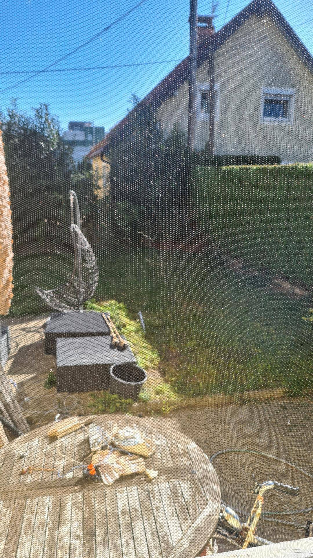 Blick durch ein Fliegengitter auf einen Gartenbereich mit Holztisch und Hecke.