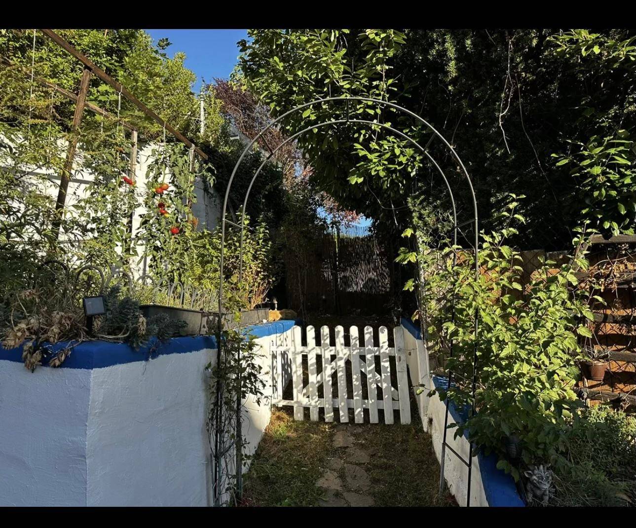 Slide 5