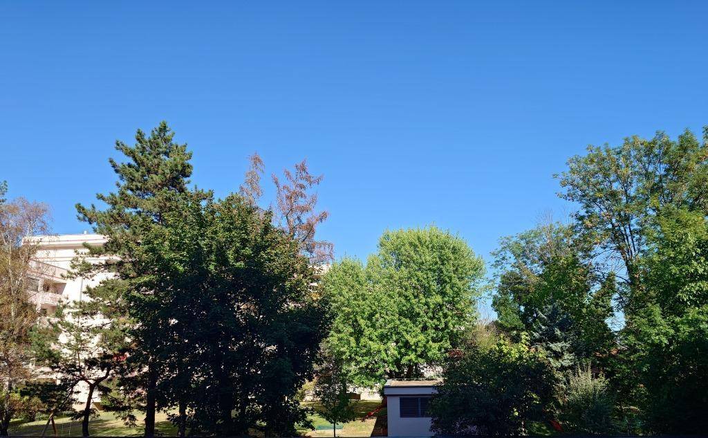 Grüne Umgebung mit Bäumen und einem klaren blauen Himmel, im Hintergrund sind Gebäude sichtbar.