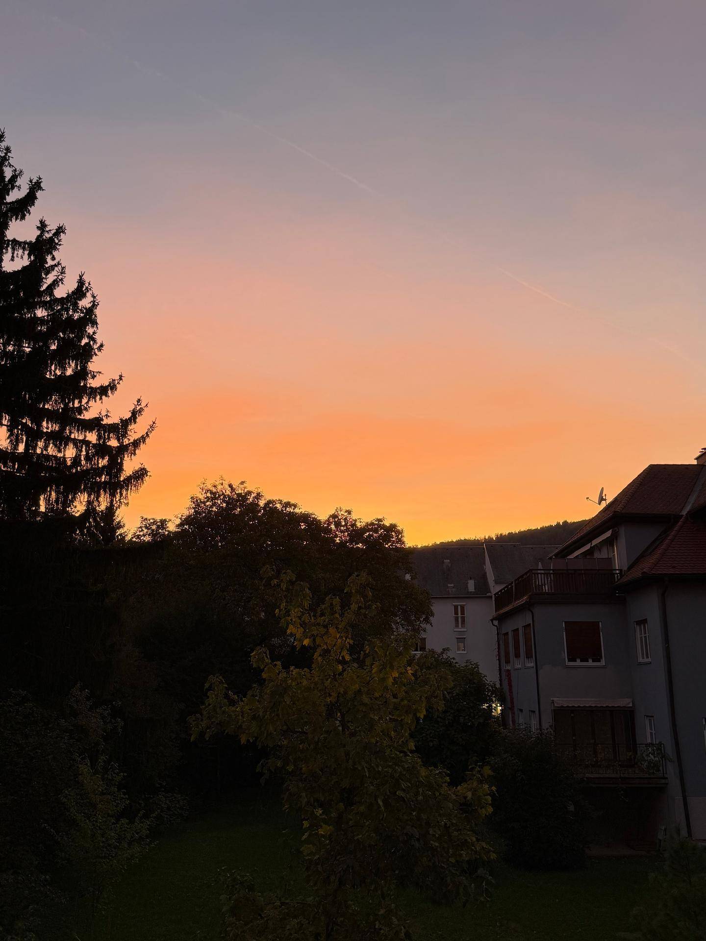 Malerischer Sonnenuntergang über einer Wohngegend mit Bäumen und Häusern.
