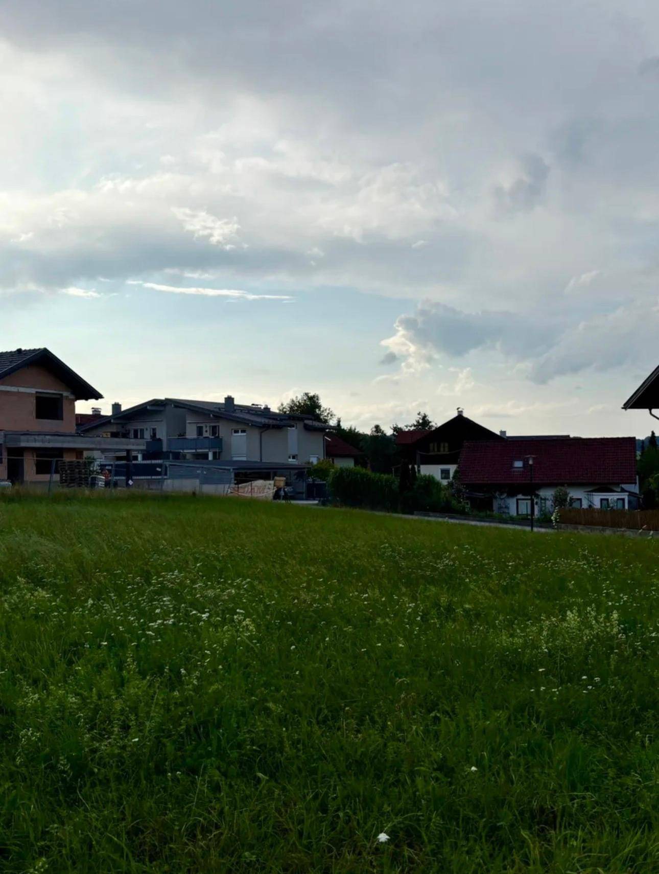 Slide 8