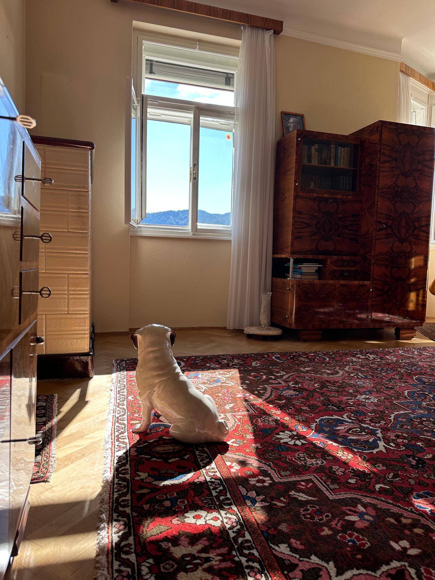 Sonniges Wohnzimmer mit Holzboden, Teppich und einem Hund, der den Ausblick genießt.