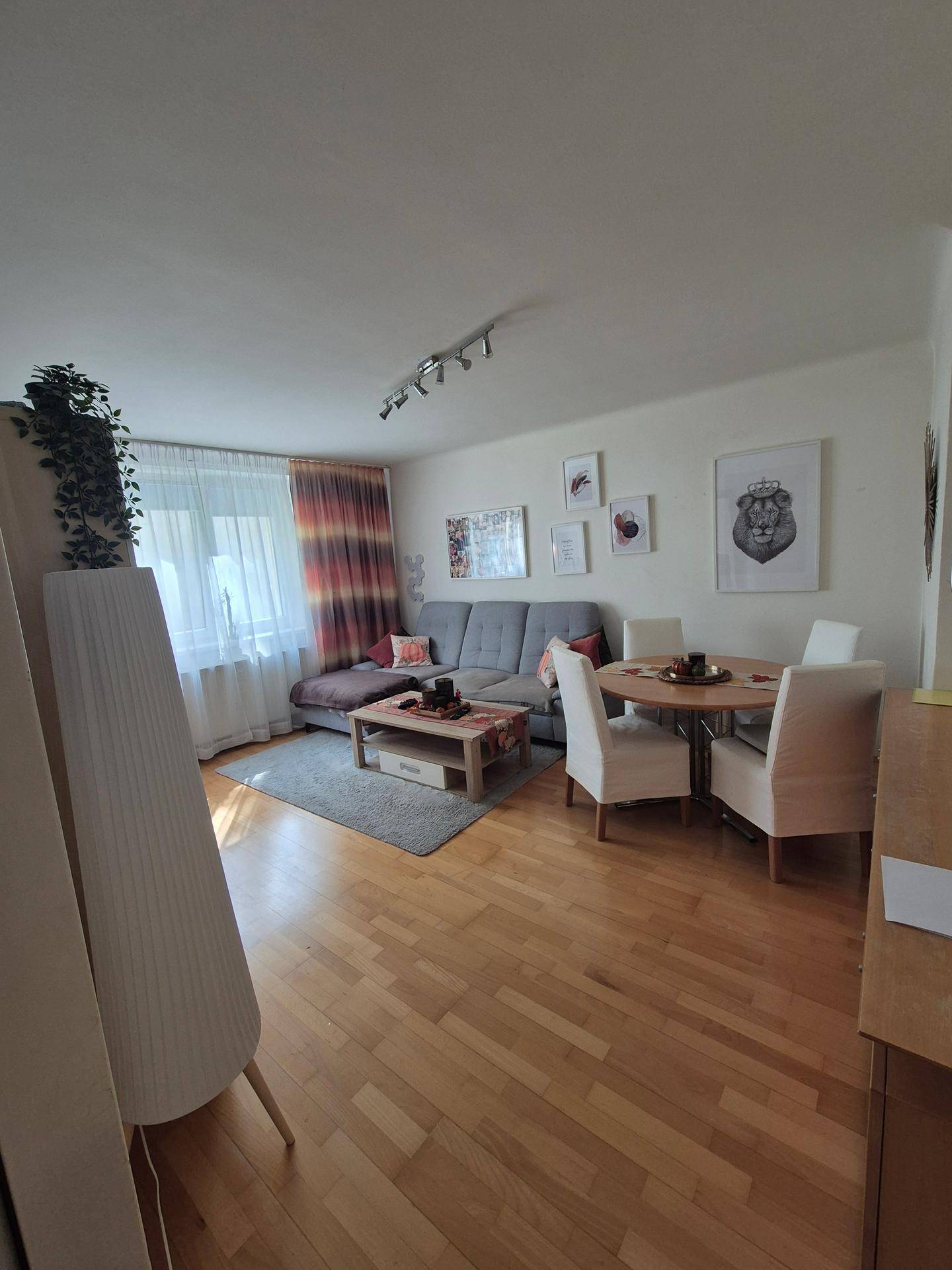 Heller offener Wohn- und Essbereich mit Holzboden, Sofa und Esstisch.