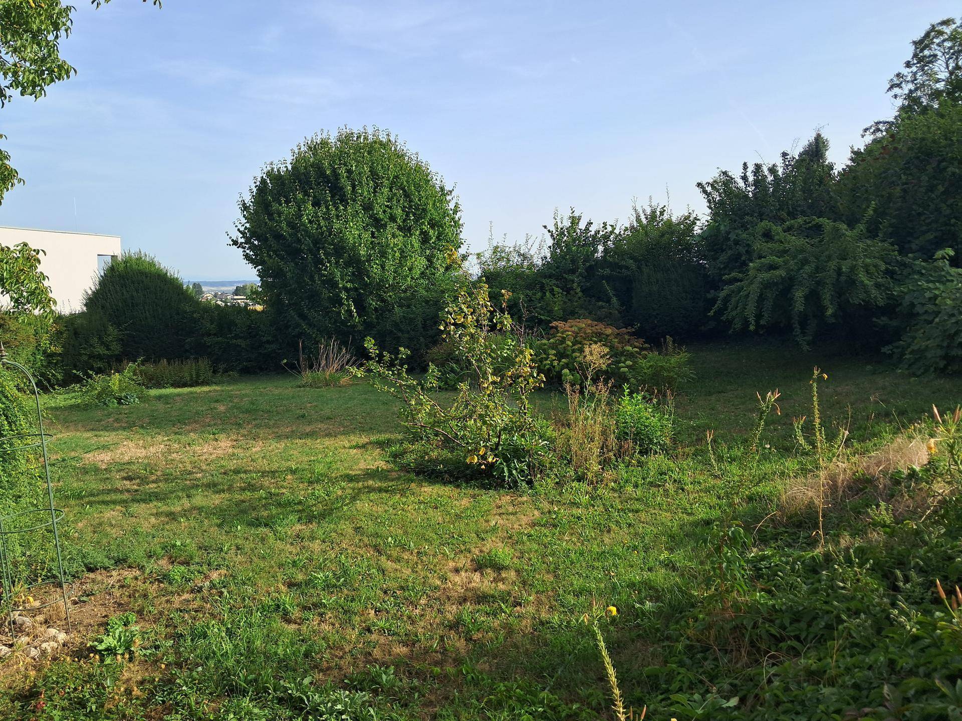 Großer Gartenbereich mit Rasenfläche, Sträuchern und Bäumen unter blauem Himmel.