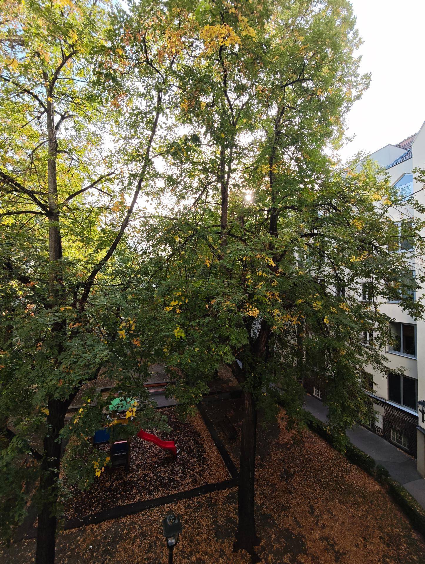 Blick aus dem Fenster auf einen Spielplatz und Bäume mit herbstlichem Laub.