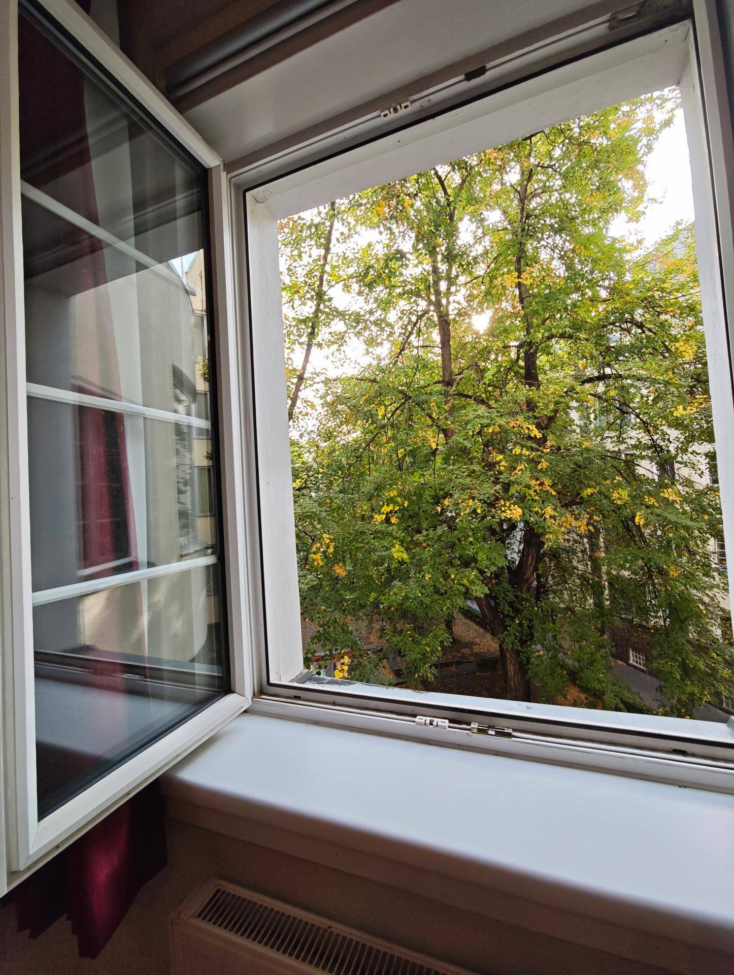 Offenes Fenster bietet einen schönen Blick auf grüne Bäume und die umliegende Natur.