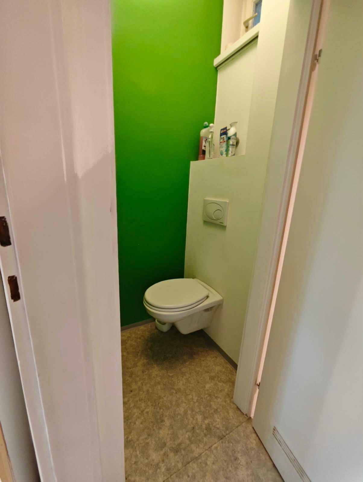 Kleines Gäste-WC mit wandhängender Toilette und auffälliger grüner Akzentwand.