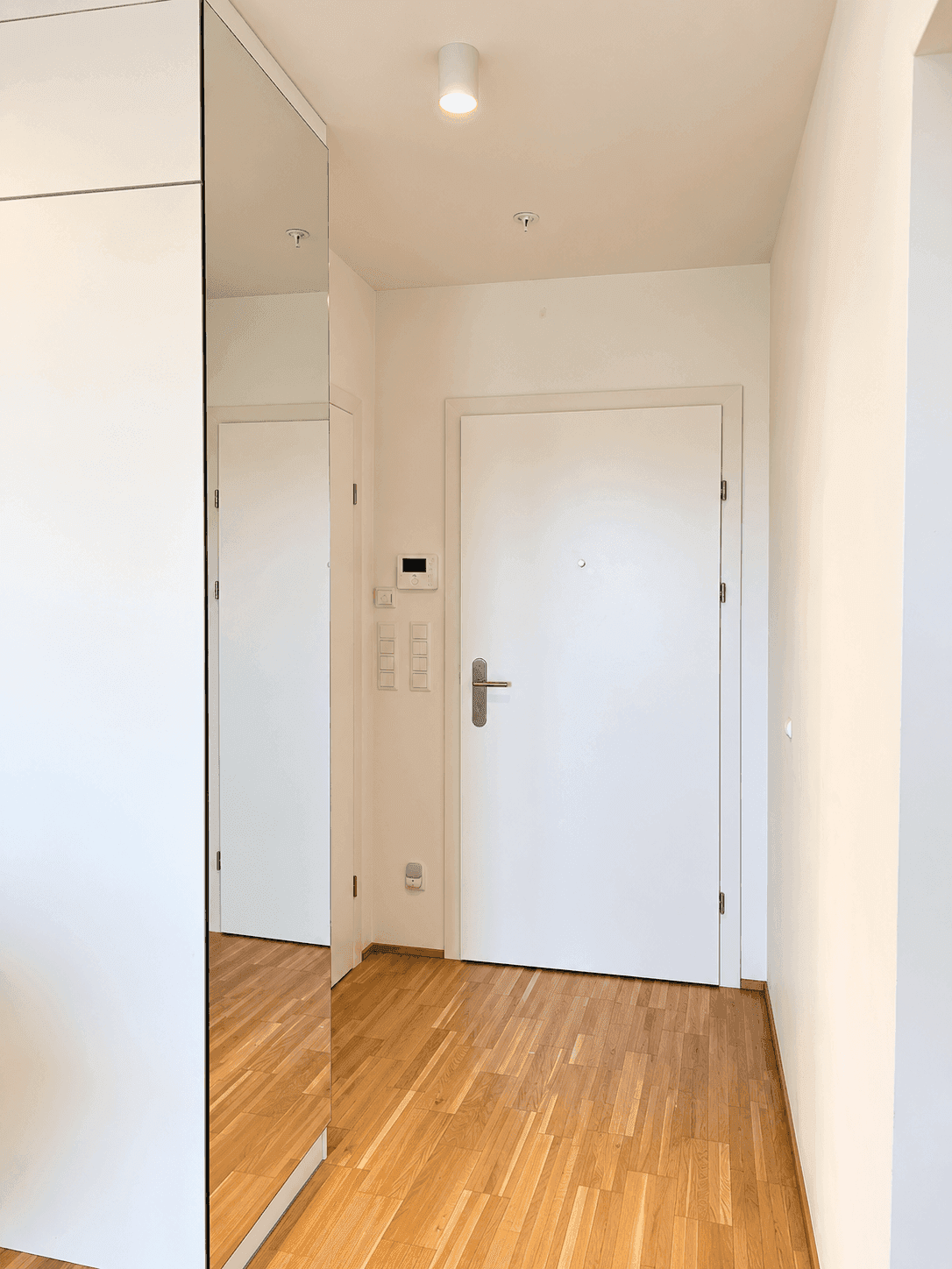 Heller Eingangsbereich mit Holzboden und einem großen Spiegelschrank.