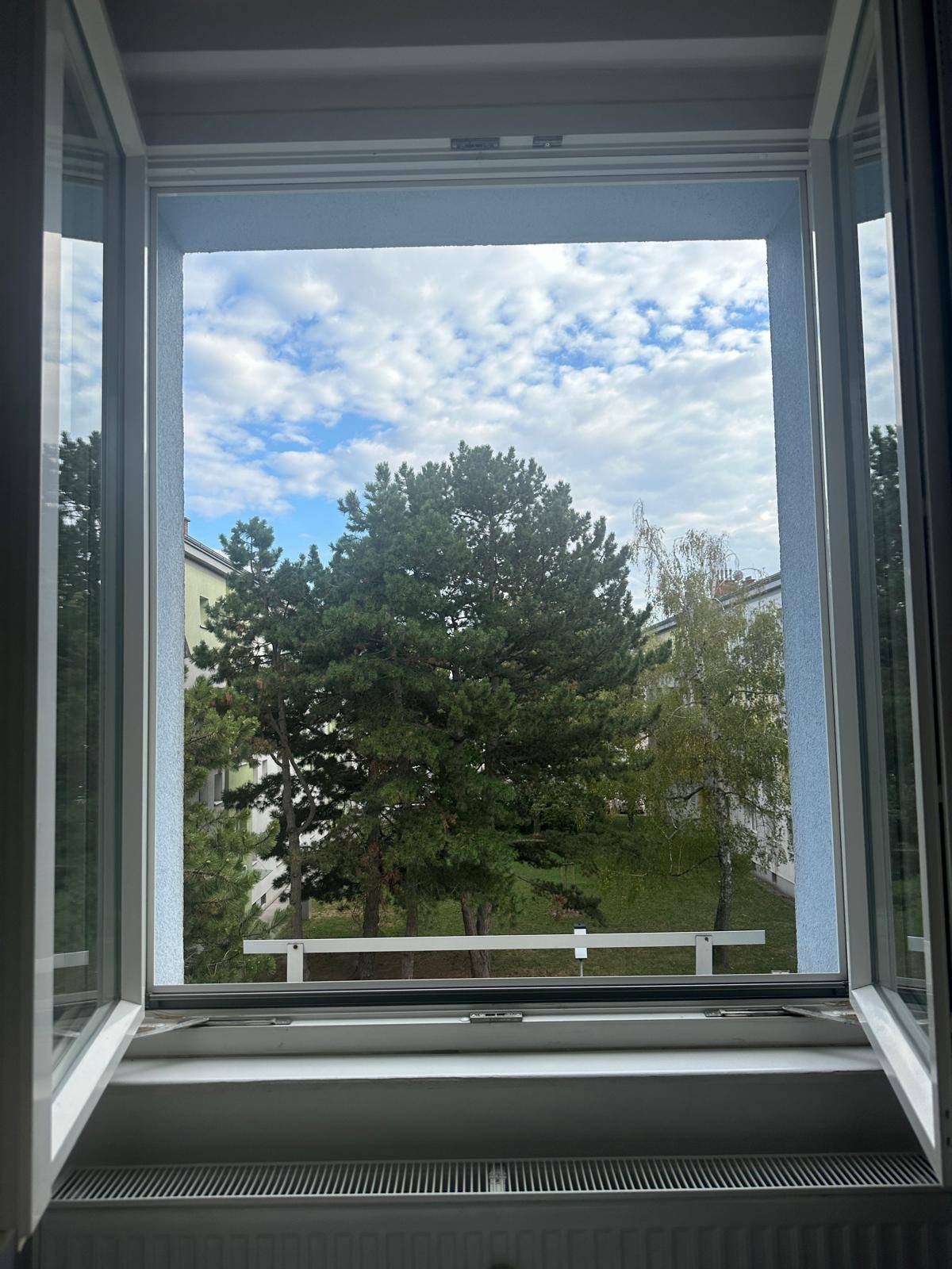 Blick aus dem Fenster auf grüne Bäume und einen Innenhof.