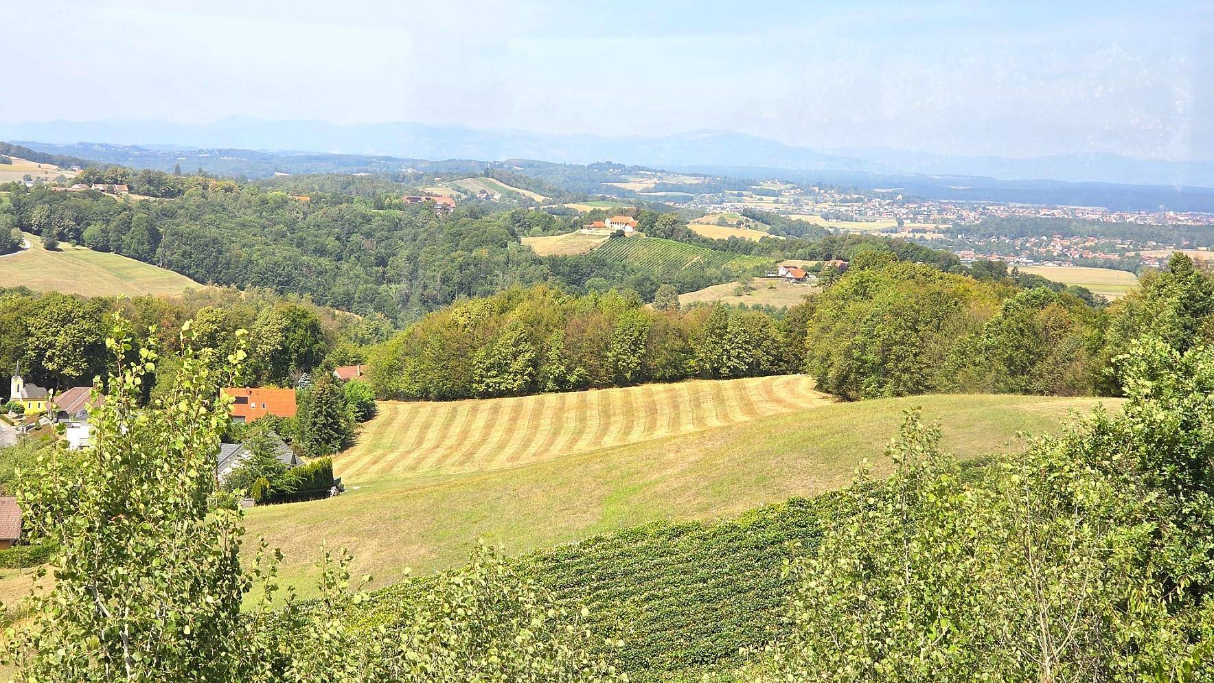 Panoramablick über sanfte Hügel, Felder und Weinreben mit vereinzelten Gebäuden in der Ferne.
