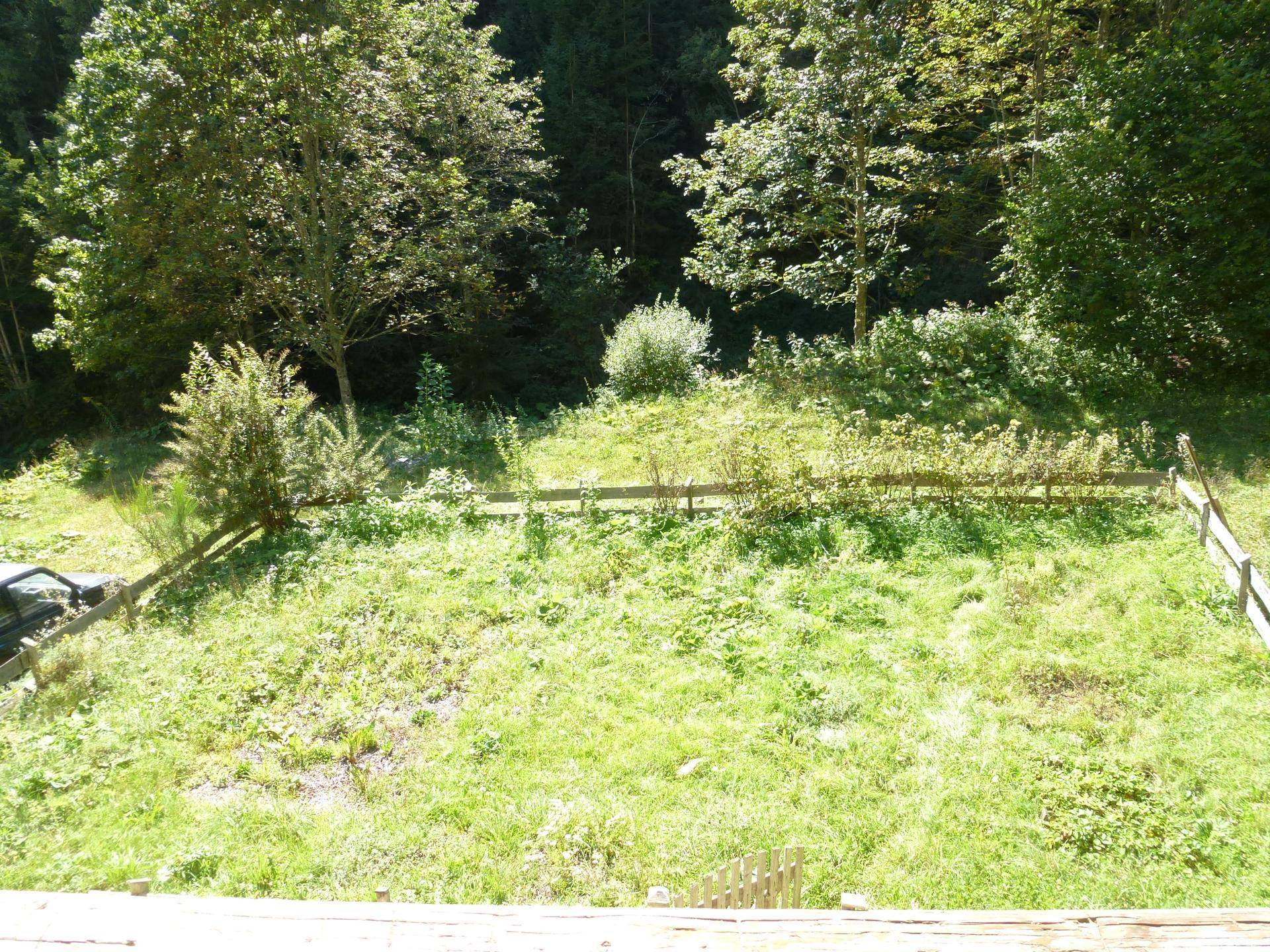 Großer, offener Gartenbereich mit Rasenfläche, umgeben von Bäumen und natürlicher Vegetation.