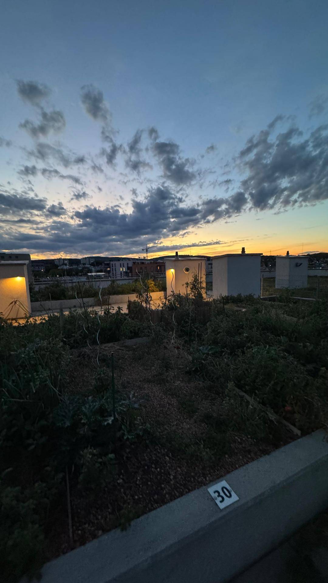 Dachgarten mit individuellen Parzellen und kleinen Gartenhäusern bei Sonnenuntergang.