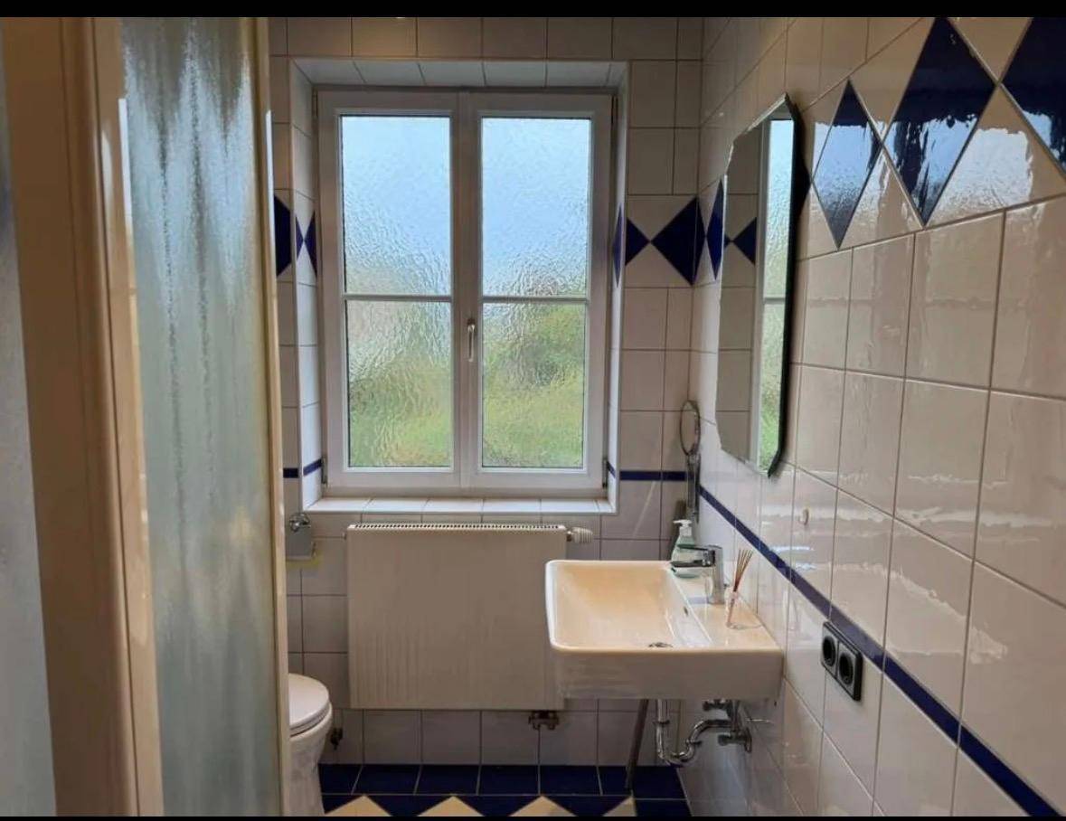 Badezimmer mit weißen und blauen Fliesen, Waschbecken, Toilette und Fenster für Tageslicht.