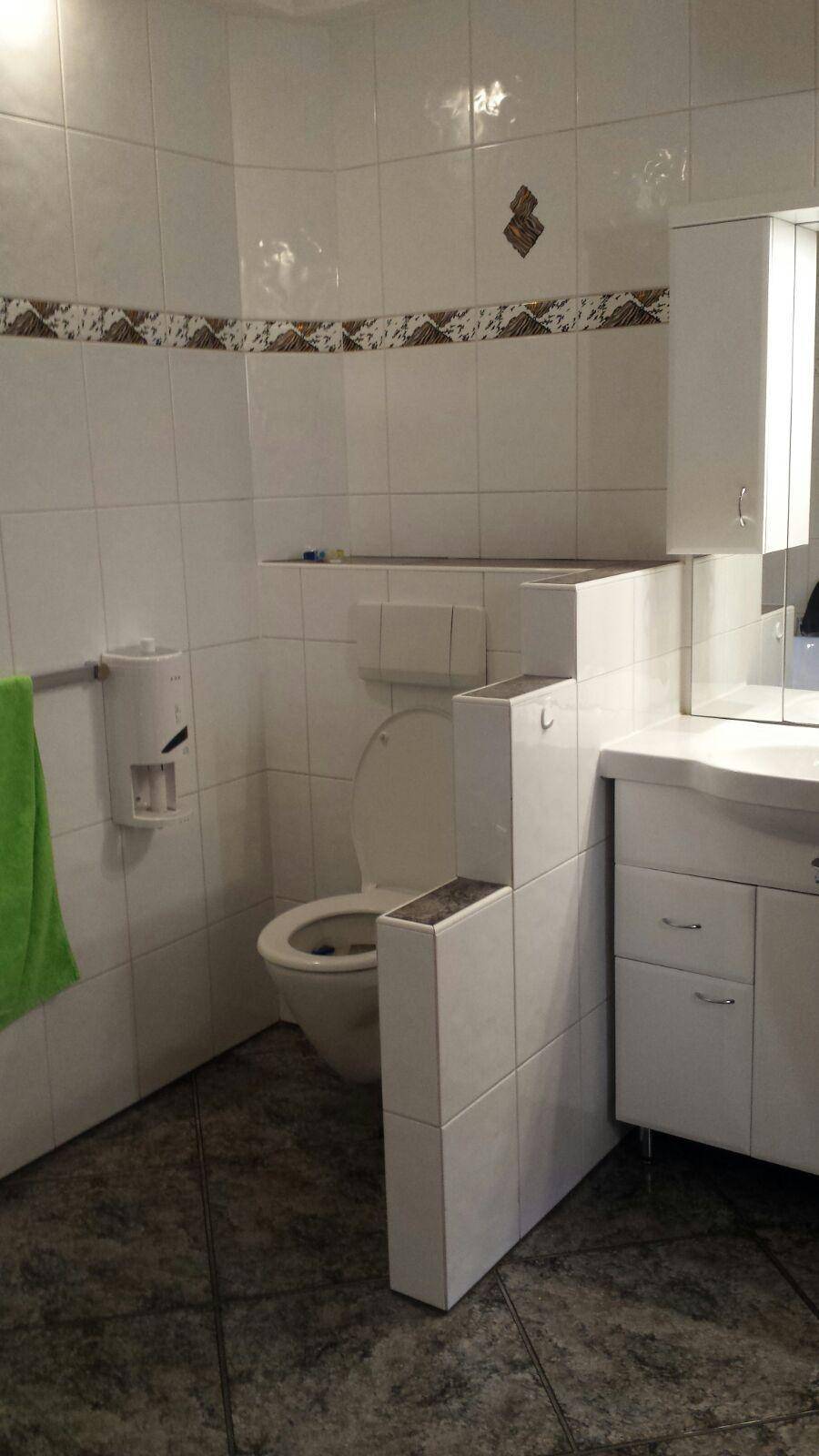 Separate Toilette mit Waschbecken, Spiegelschrank und Fliesen.