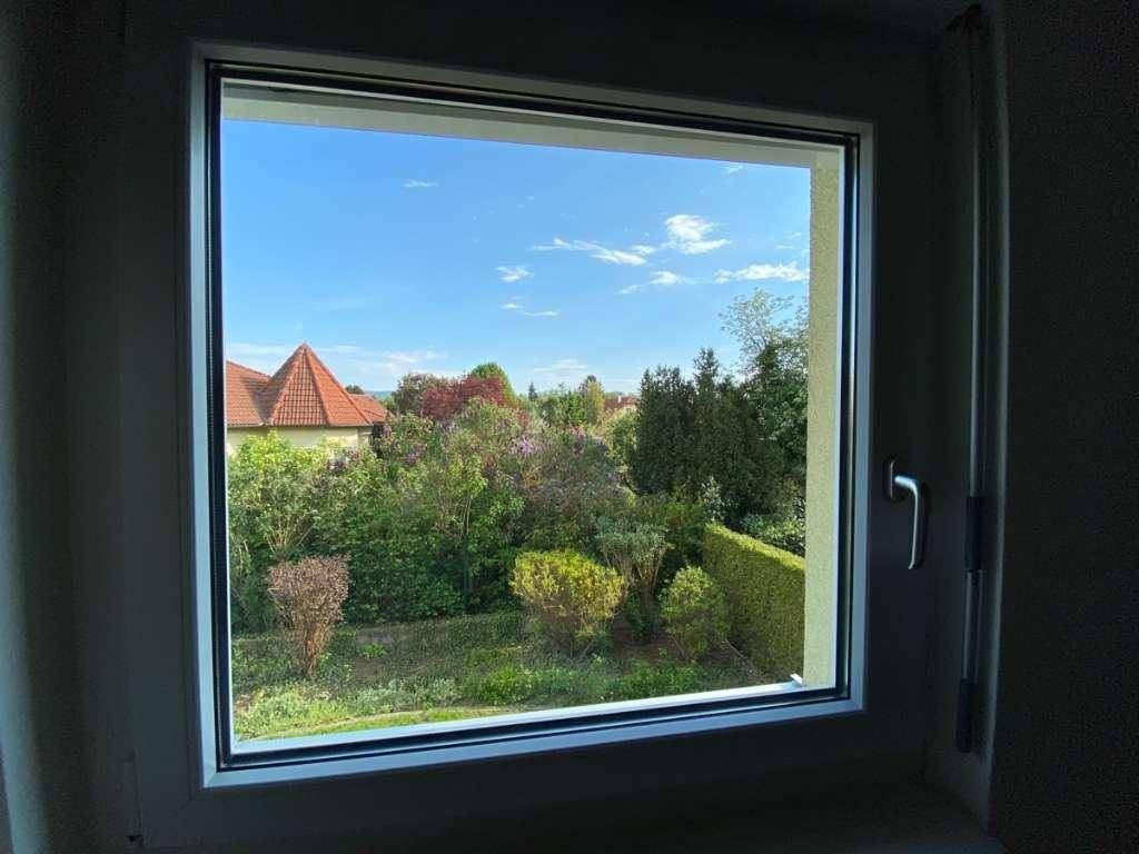 Grüner Ausblick aus dem Fenster auf den Garten und die umliegende Nachbarschaft.
