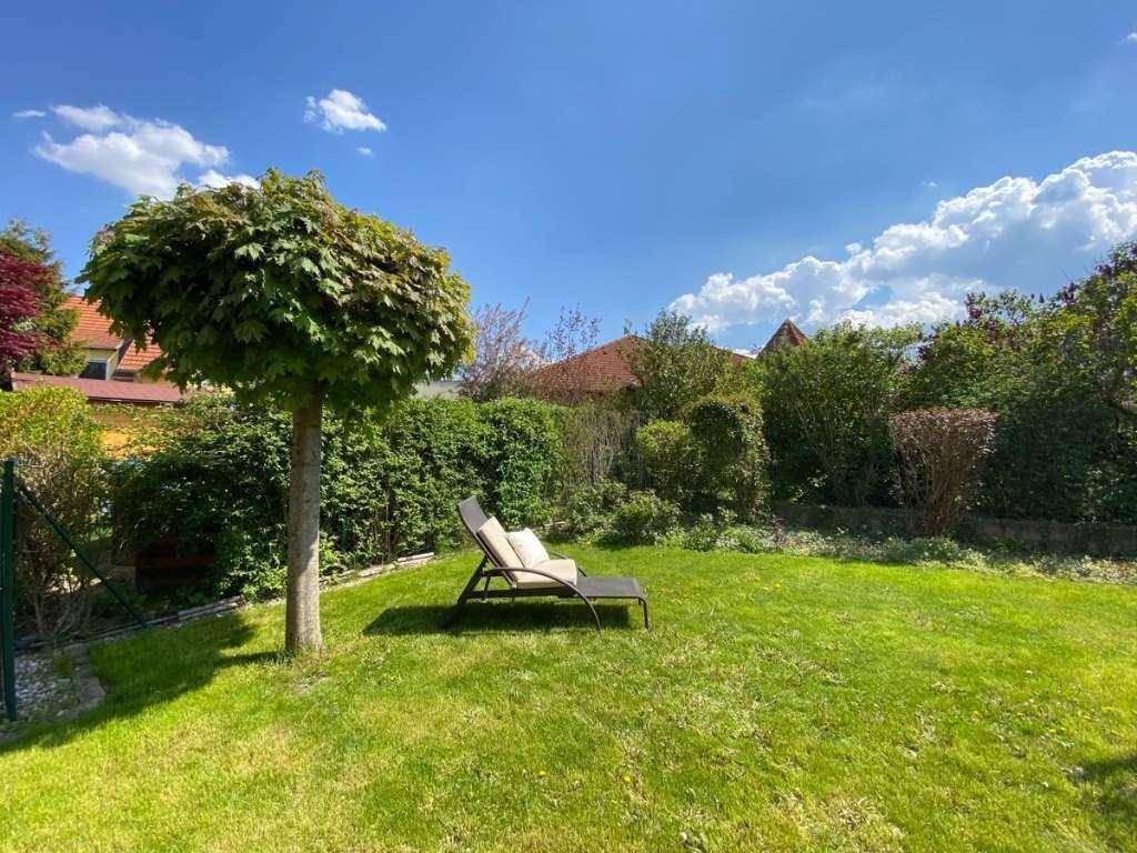 Sonnige Rasenfläche im Garten mit einem kleinen Baum und einer bequemen Sonnenliege.