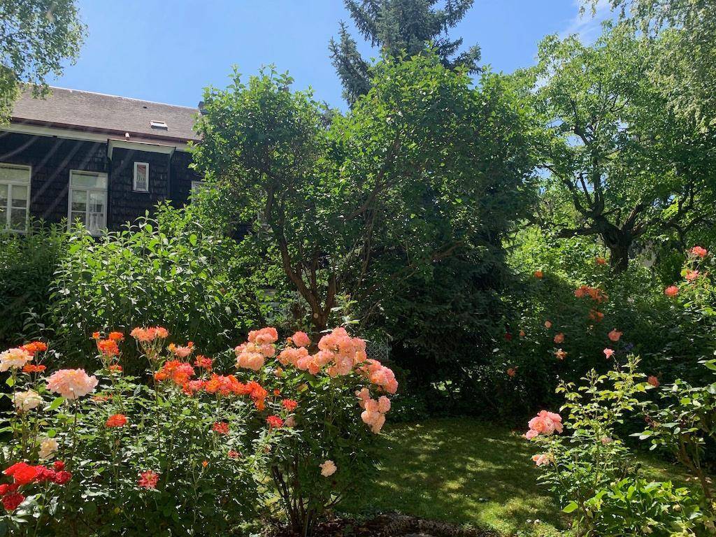Farbenfroher Garten mit blühenden Rosen und üppigem Grün, der zum Entspannen einlädt.