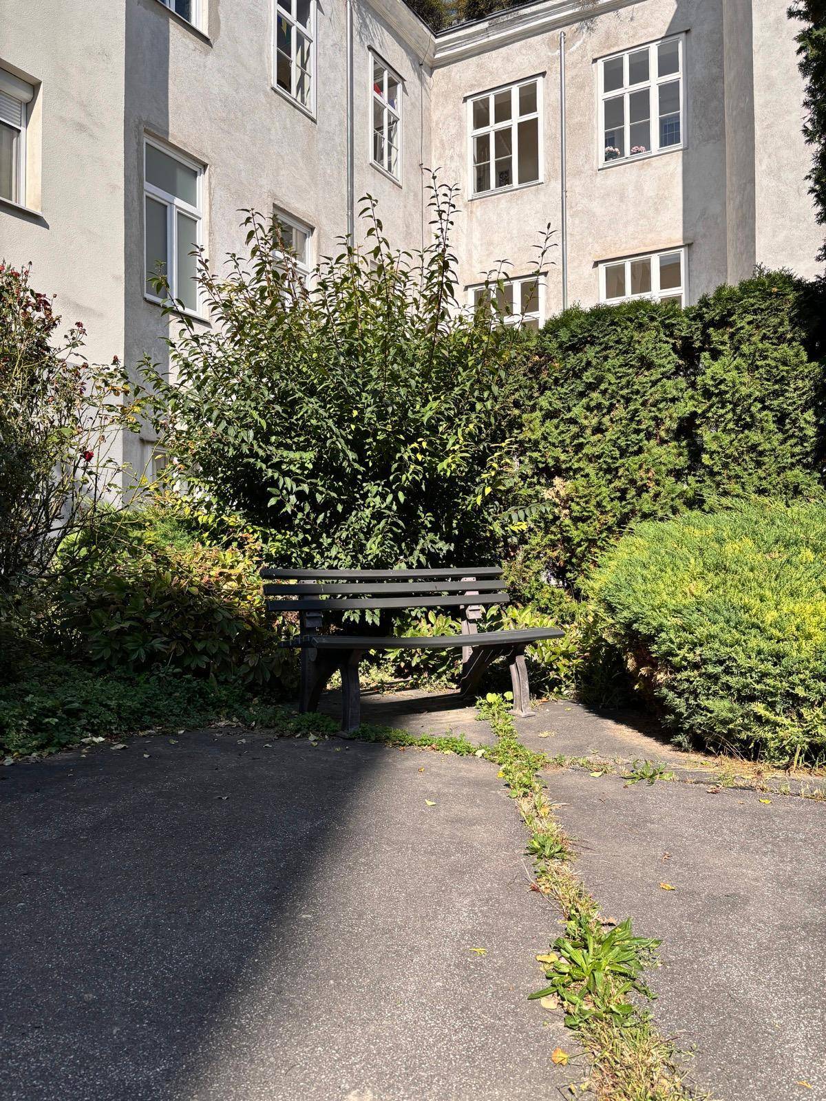 Ruhiger Gartenbereich mit einer Holzbank, umgeben von grünen Büschen und Hecken vor der Gebäudefassade.