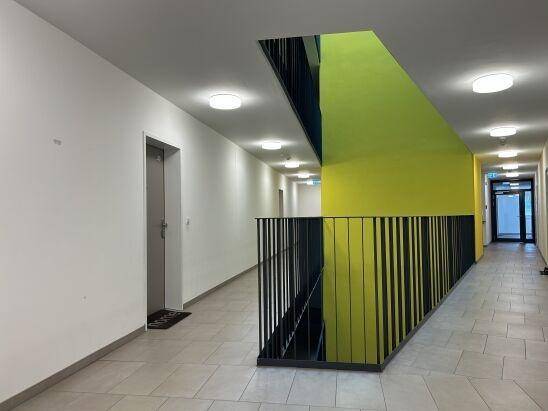 Heller Flur im Gebäude mit Treppenhaus, Aufzug und auffälliger grüner Wandgestaltung.