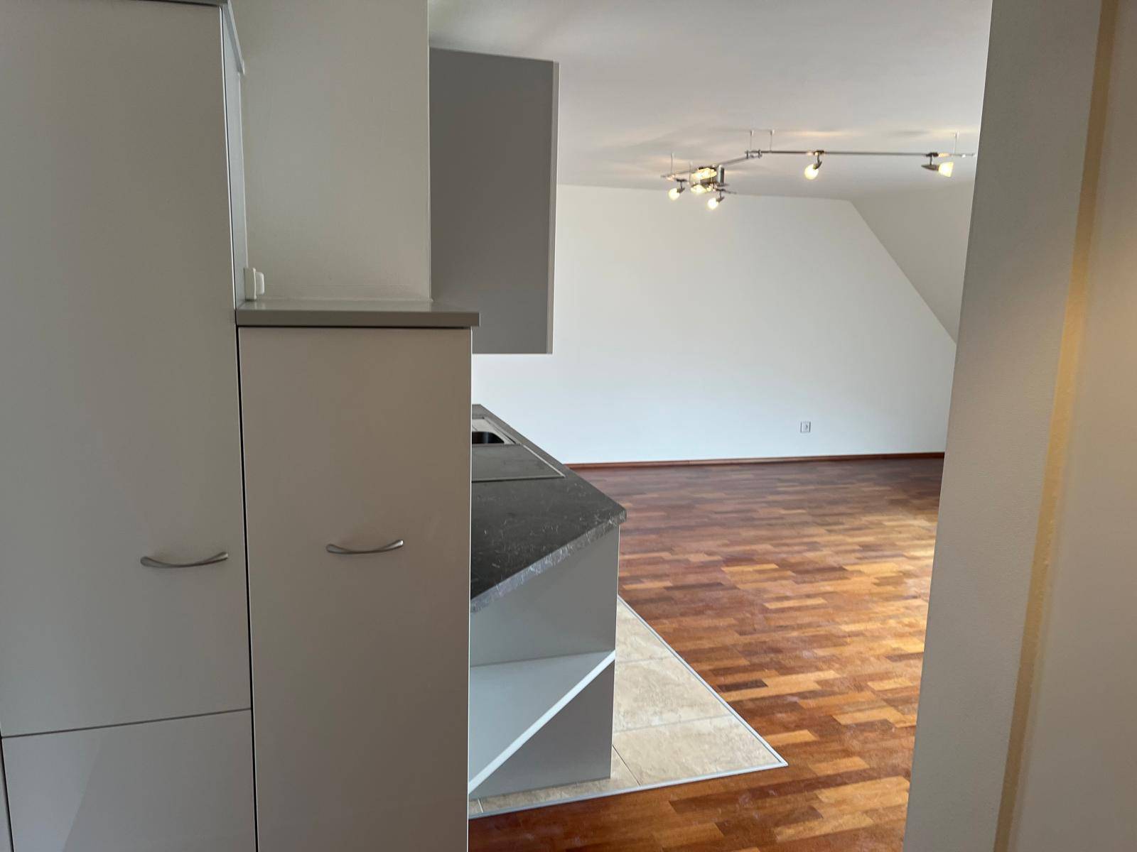 Teilweise offene Küche mit modernen Schränken und Blick in den angrenzenden Wohnbereich.