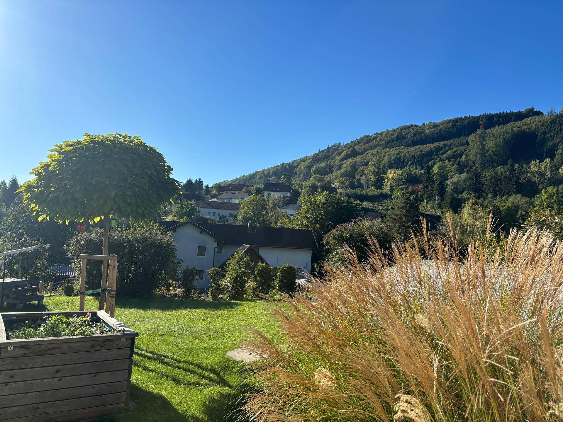 Sonniger Gartenbereich mit Rasen, Ziergräsern und Blick auf die Hügel.