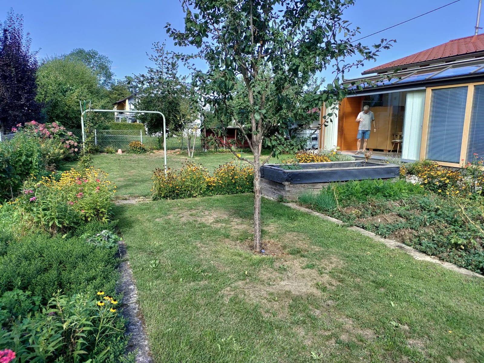 Gepflegter Gartenbereich mit Rasenfläche, Blumenbeeten und einem jungen Obstbaum neben dem Haus.