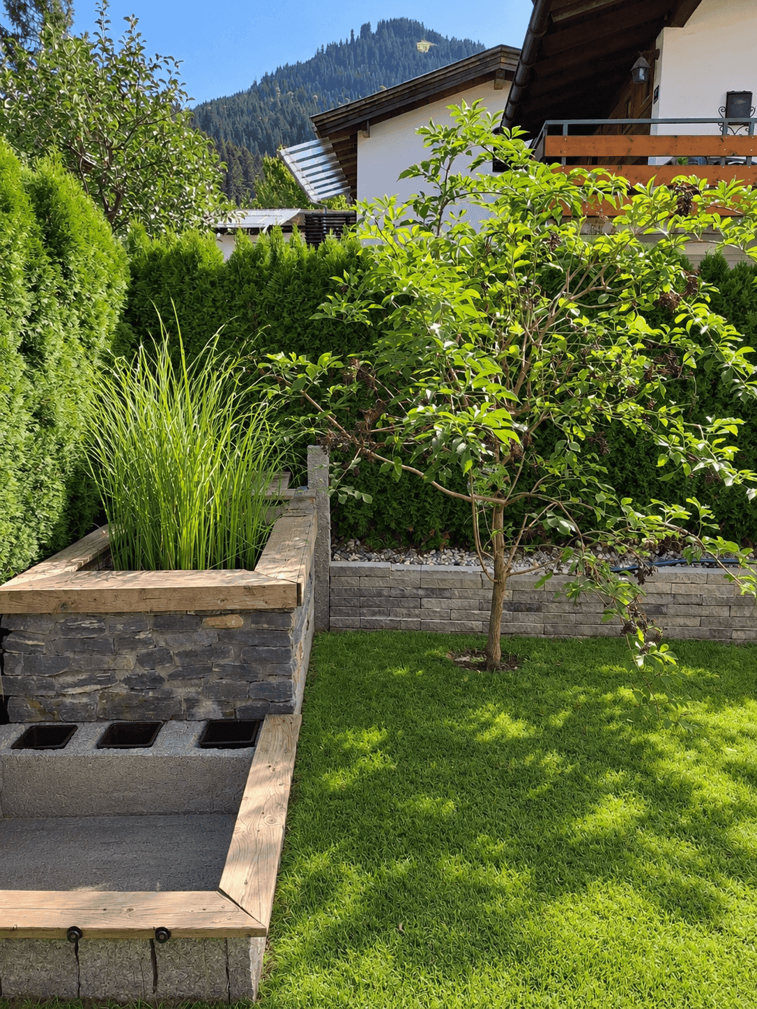 Gepflegter Gartenbereich mit Rasenfläche, Sträuchern und einem jungen Baum.