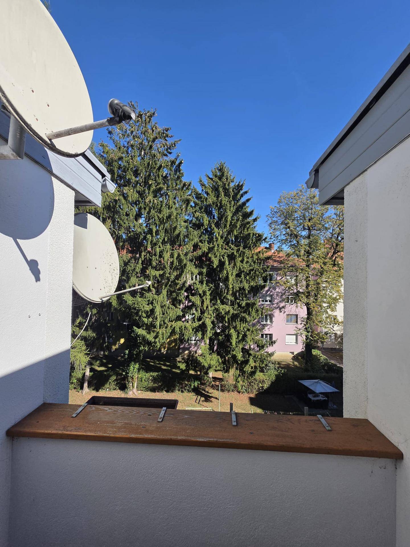 Blick vom Balkon ins Grüne mit hohen Bäumen und umliegenden Gebäuden.