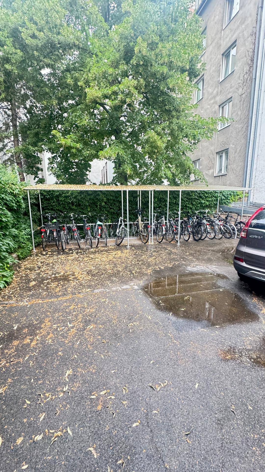 Überdachter Fahrradabstellplatz im Freien mit vielen Fahrrädern und Baumbestand im Hintergrund.