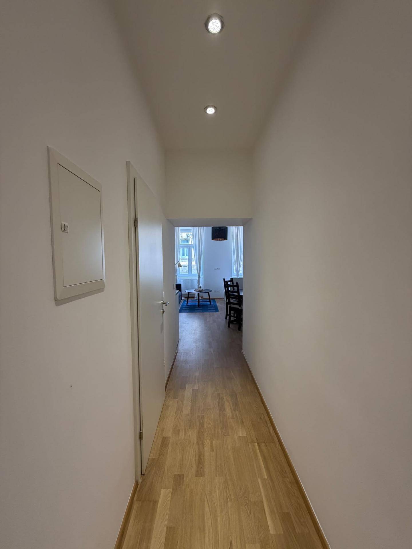 Langer, heller Flur mit Holzboden, der zum offenen Wohnbereich des Apartments führt.