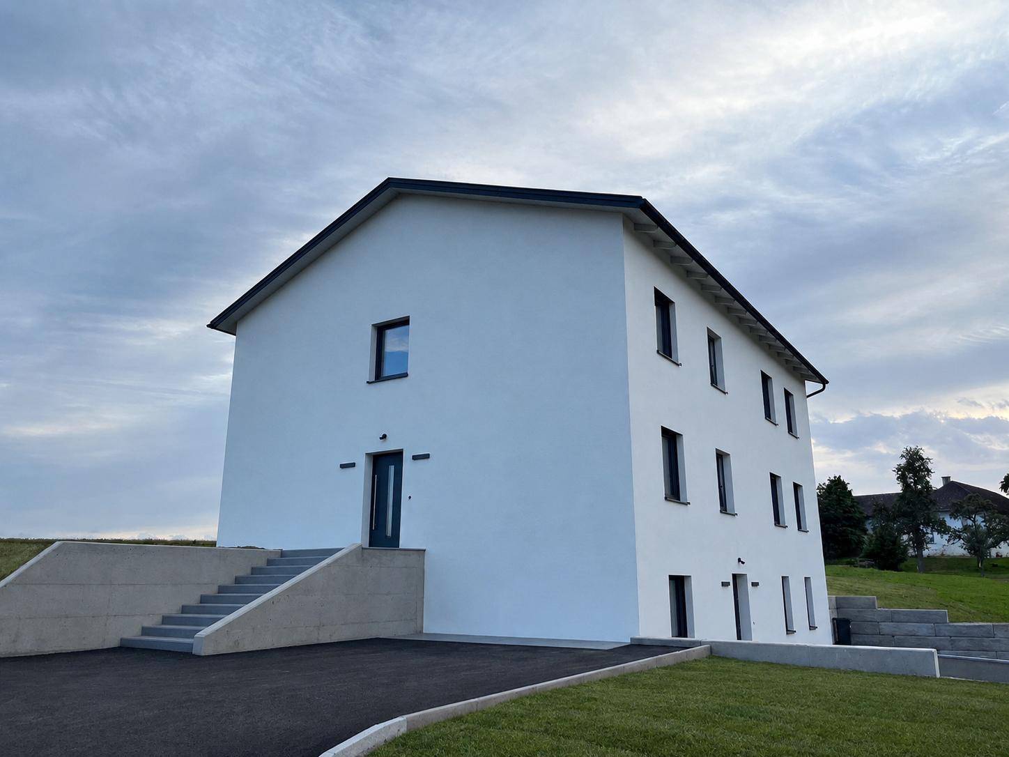 Eingangsbereich des modernen Hauses mit Außentreppe, Auffahrt und umliegender Grünfläche.